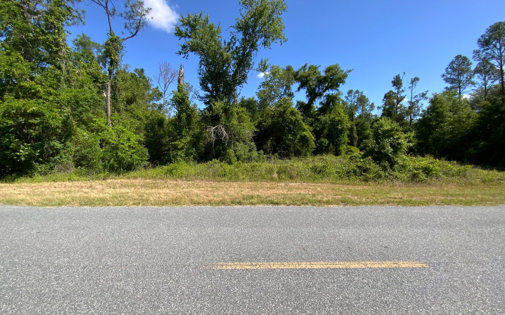 Single Family - TBD 168TH STREET, Live Oak, FL