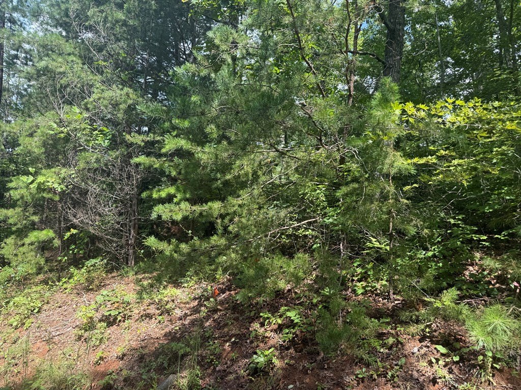 Other - Bethabara View lot: 11, Hayesville, NC