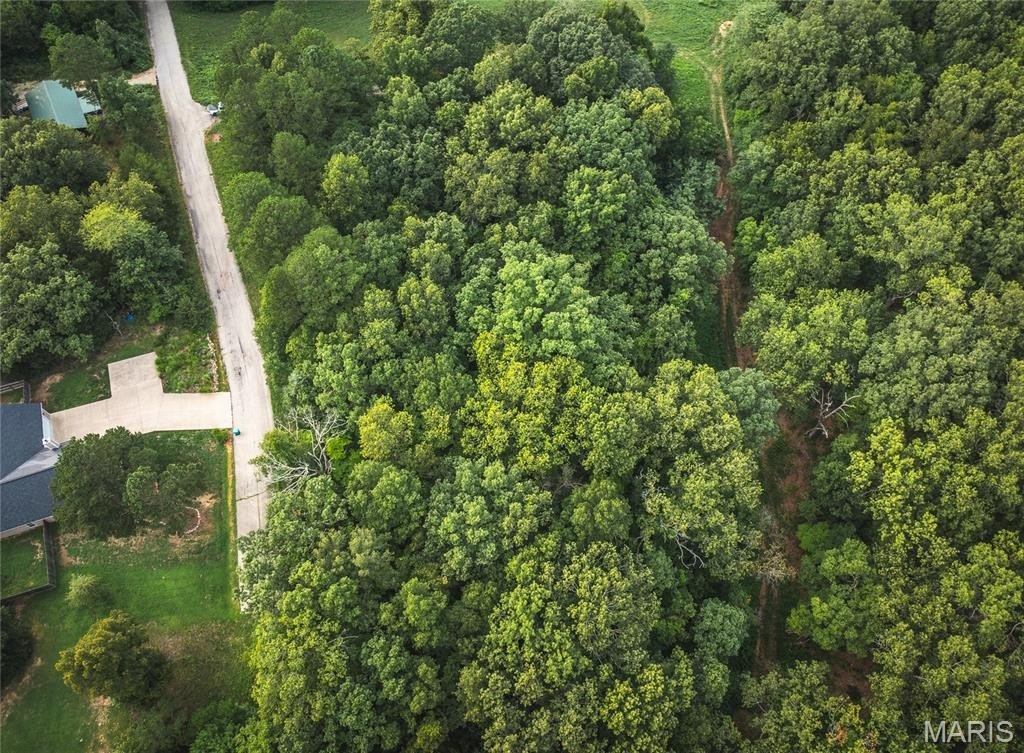 Other - Lot 43 Valley View Drive, Steelville, MO