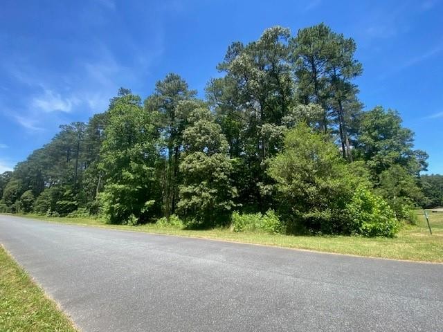 Other - Lot 82 CORBIN HALL LN, HORNTOWN, VA