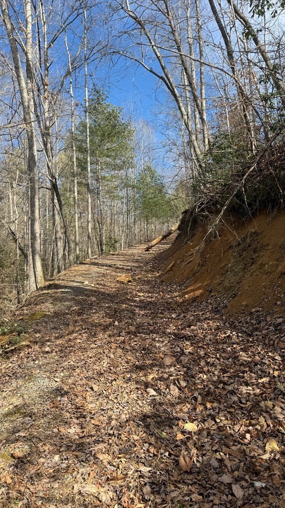 Other - Back Of Beyond, Bryson City, NC