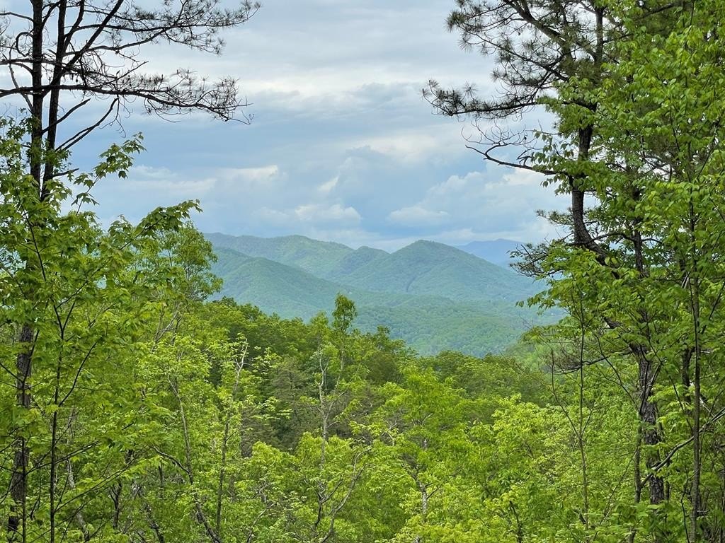 Other - Butternut Ridge lot: 5, Bryson City, NC
