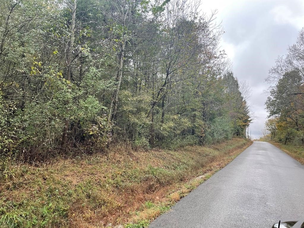 Other - 0000  Kirkwood Springs Rd, Dawson Springs, KY