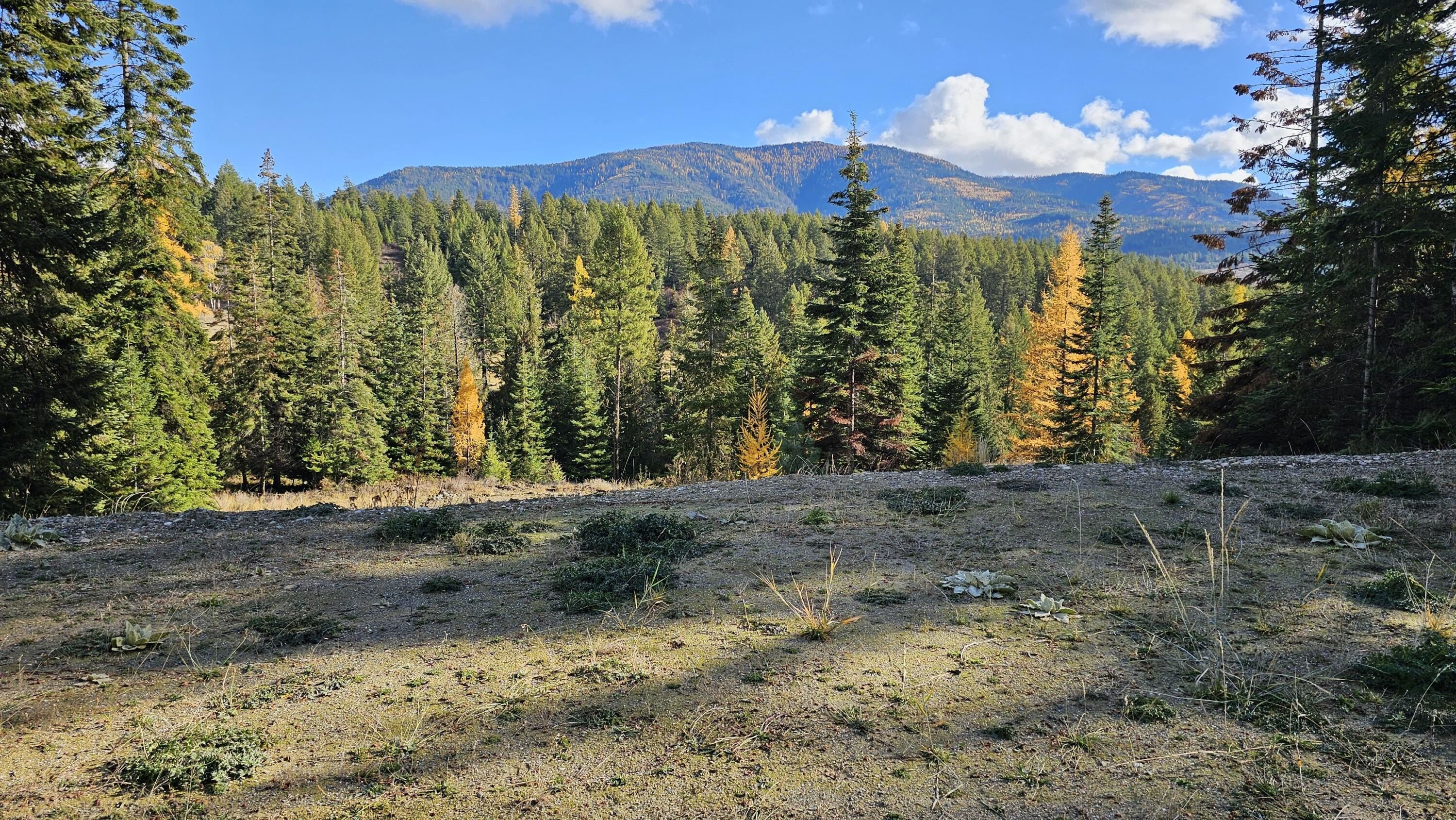 Other - 717 C FINLEY GULCH RD, COLVILLE, WA
