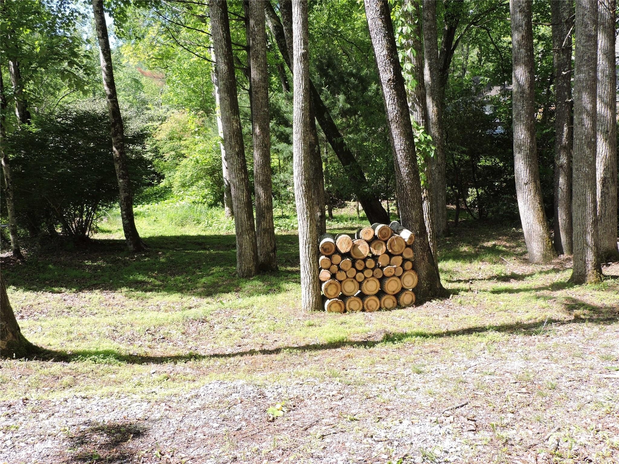 Other - Swiss Pine Lake Drive, Spruce Pine, NC