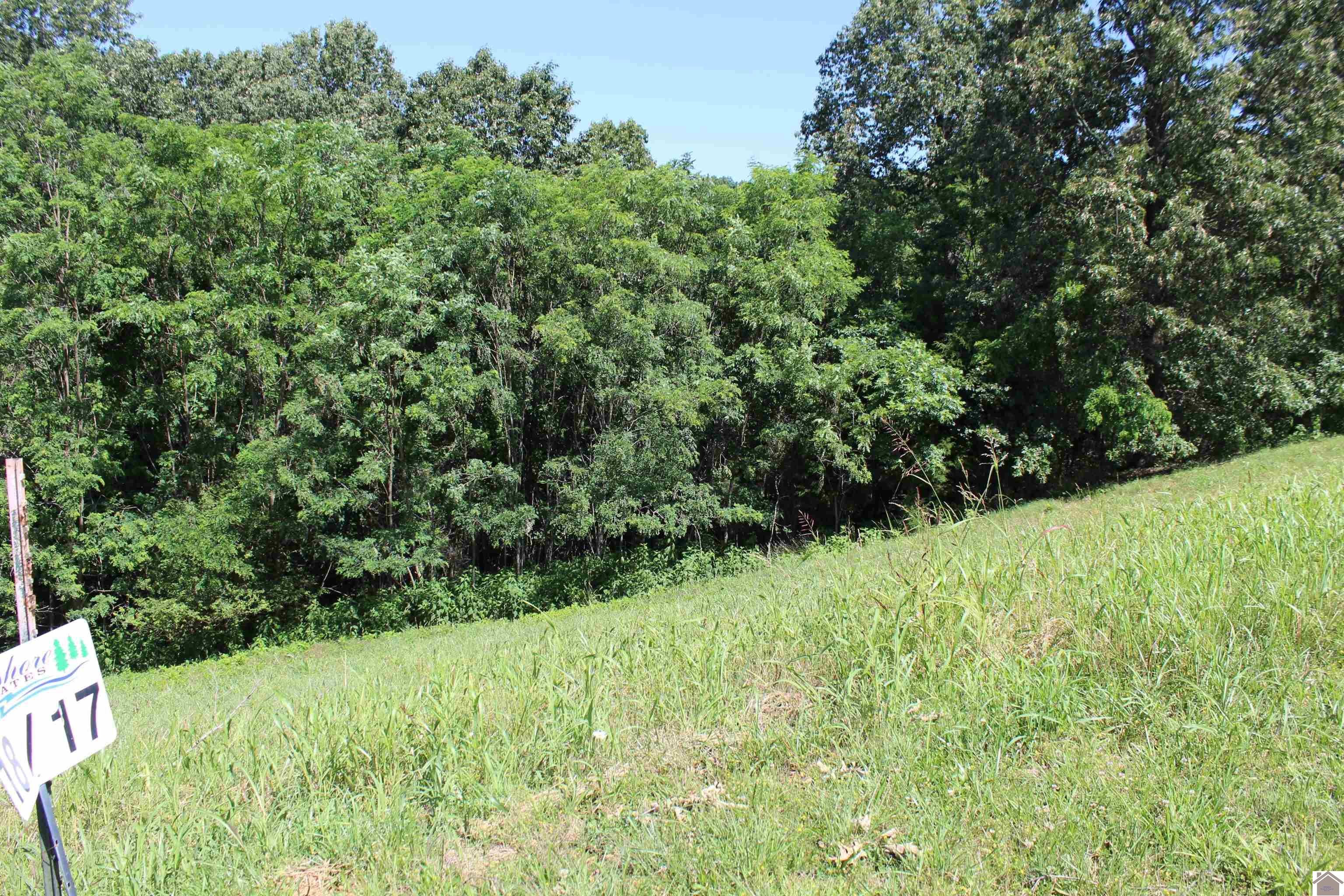 Other - Lots 17 Oak View Lane, Eddyville, KY