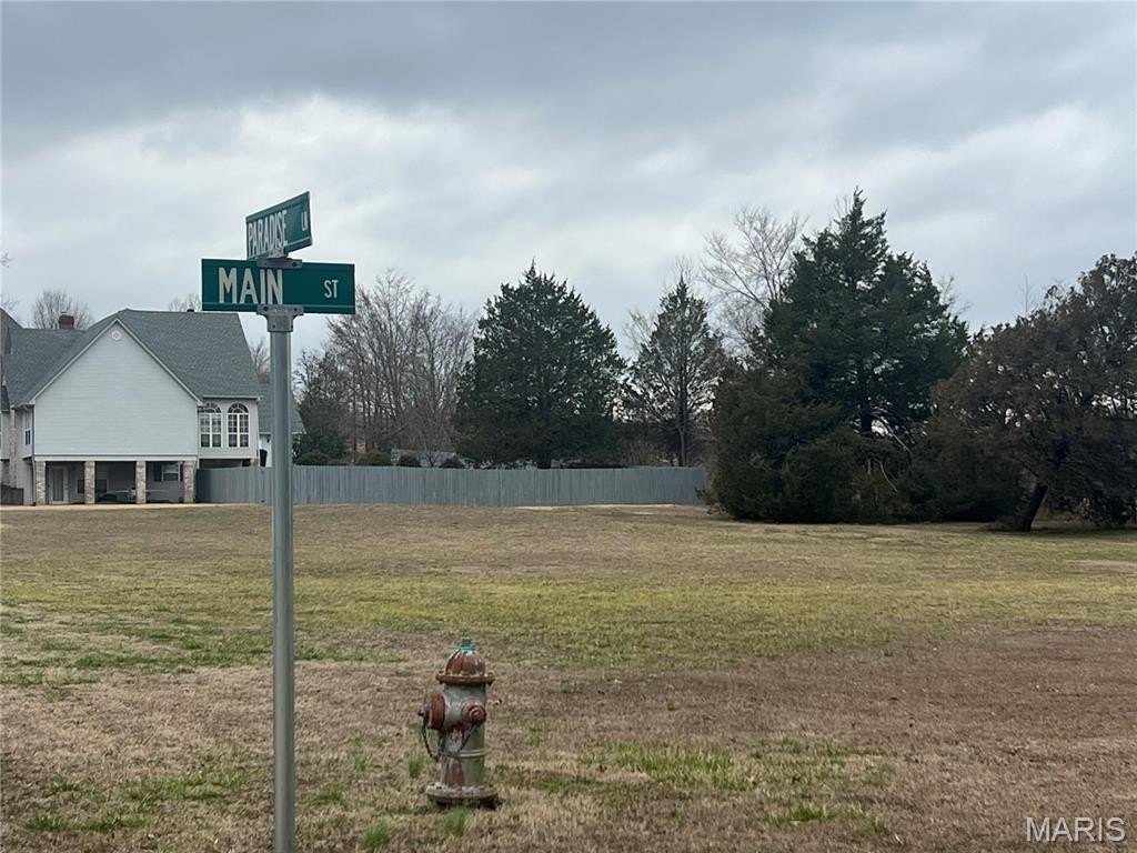 Other - Paradise Lane lot: 1 & 2, Poplar Bluff, MO