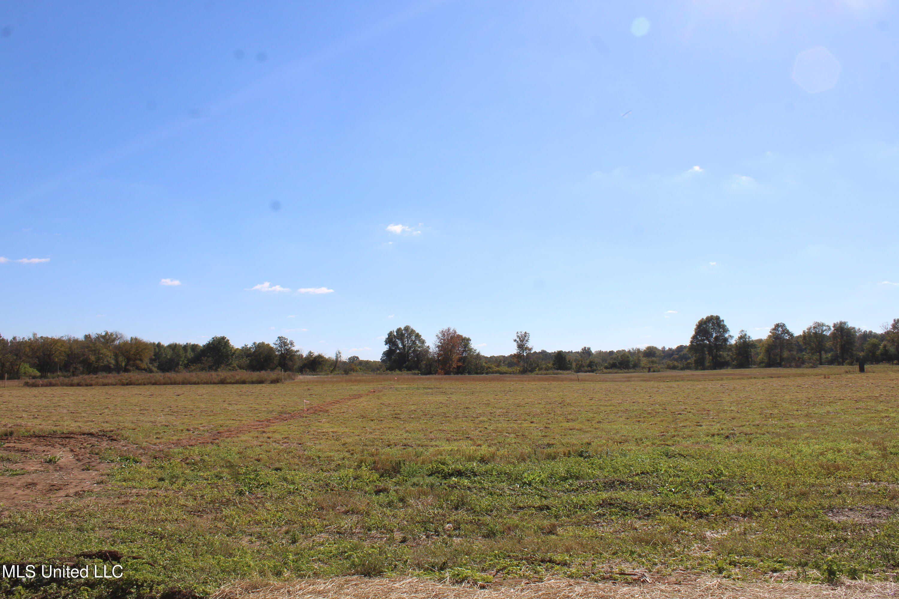 Single Family - 39 Pin Oak Road, Michigan City, MS