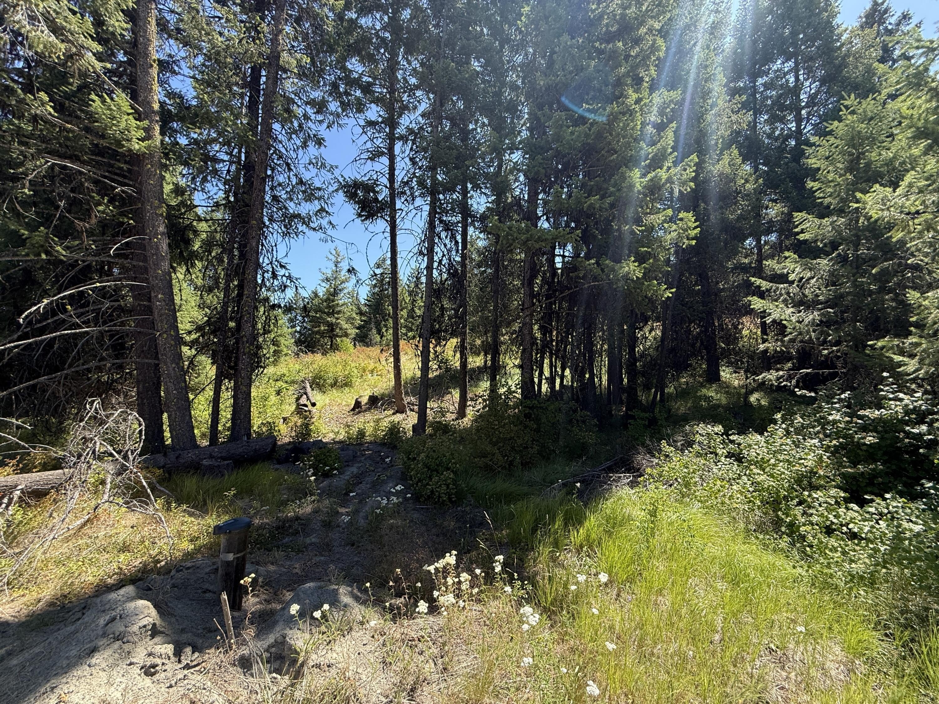Other - 135 SLIPPERY HILL LN, REPUBLIC, WA