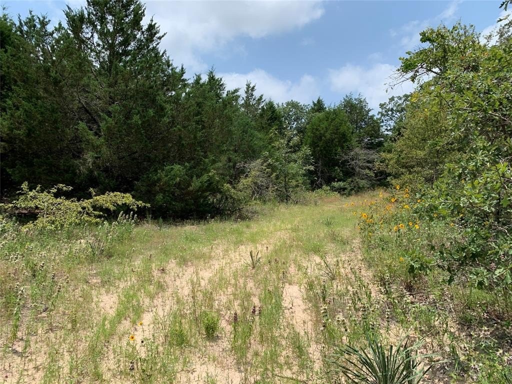 Other - FM 2494, ATHENS, TX