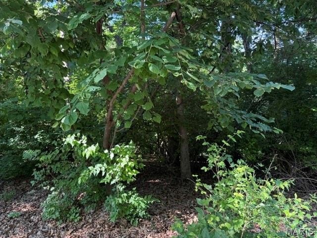 Other - 691 Arcola Drive, Ballwin, MO