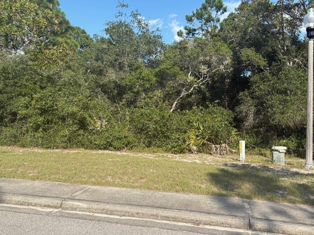 Other - 114 Spoonbill Ct, Carrabelle, FL
