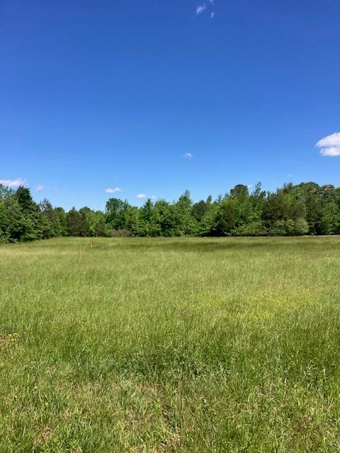 Single Family - 19 acres Highway 25, Ninety Six, SC