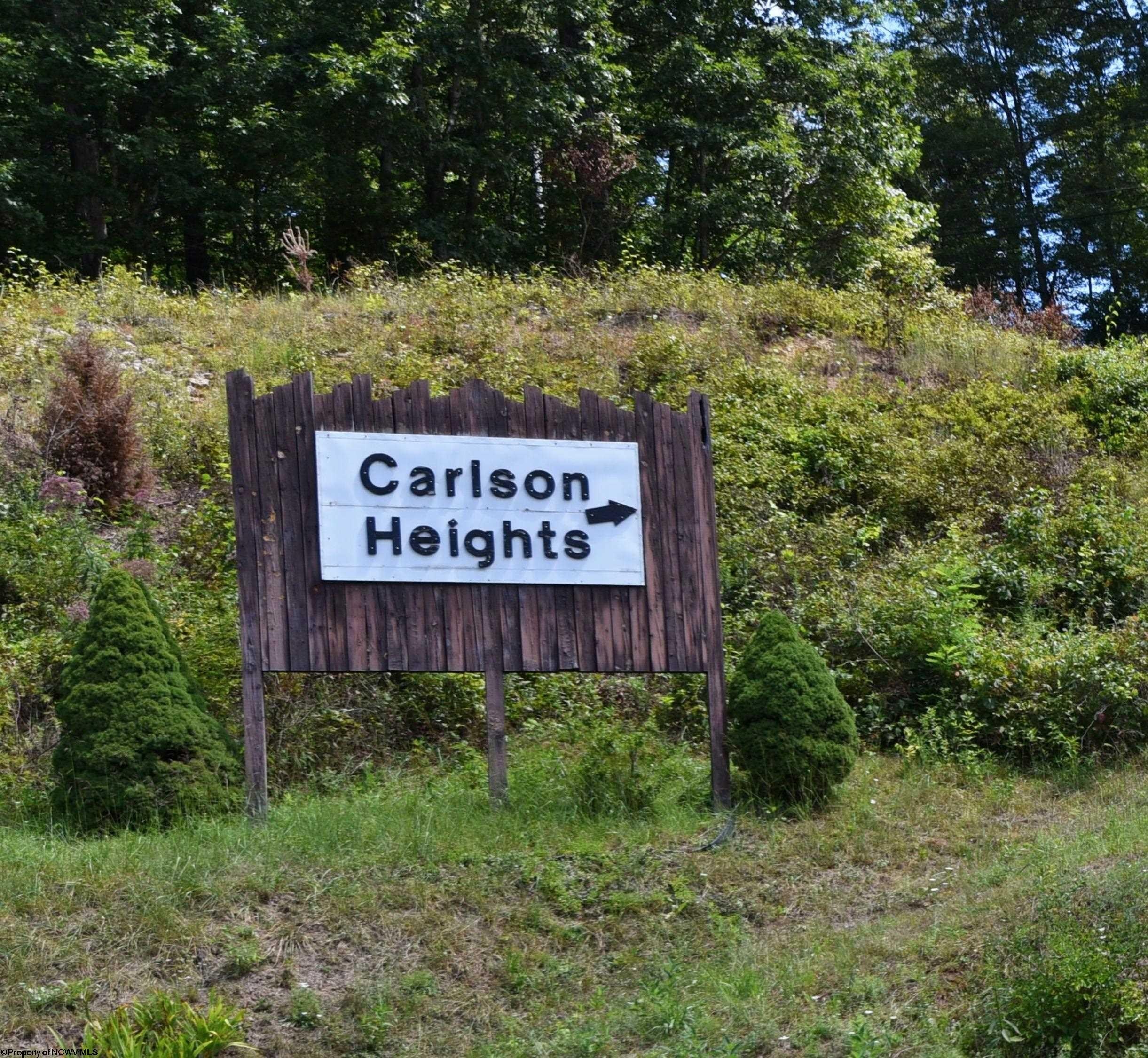 Other - Carlson Drive lot: 45, Grafton, WV