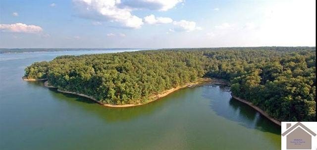 Other - BLUE HERON lot: 71, Murray, KY