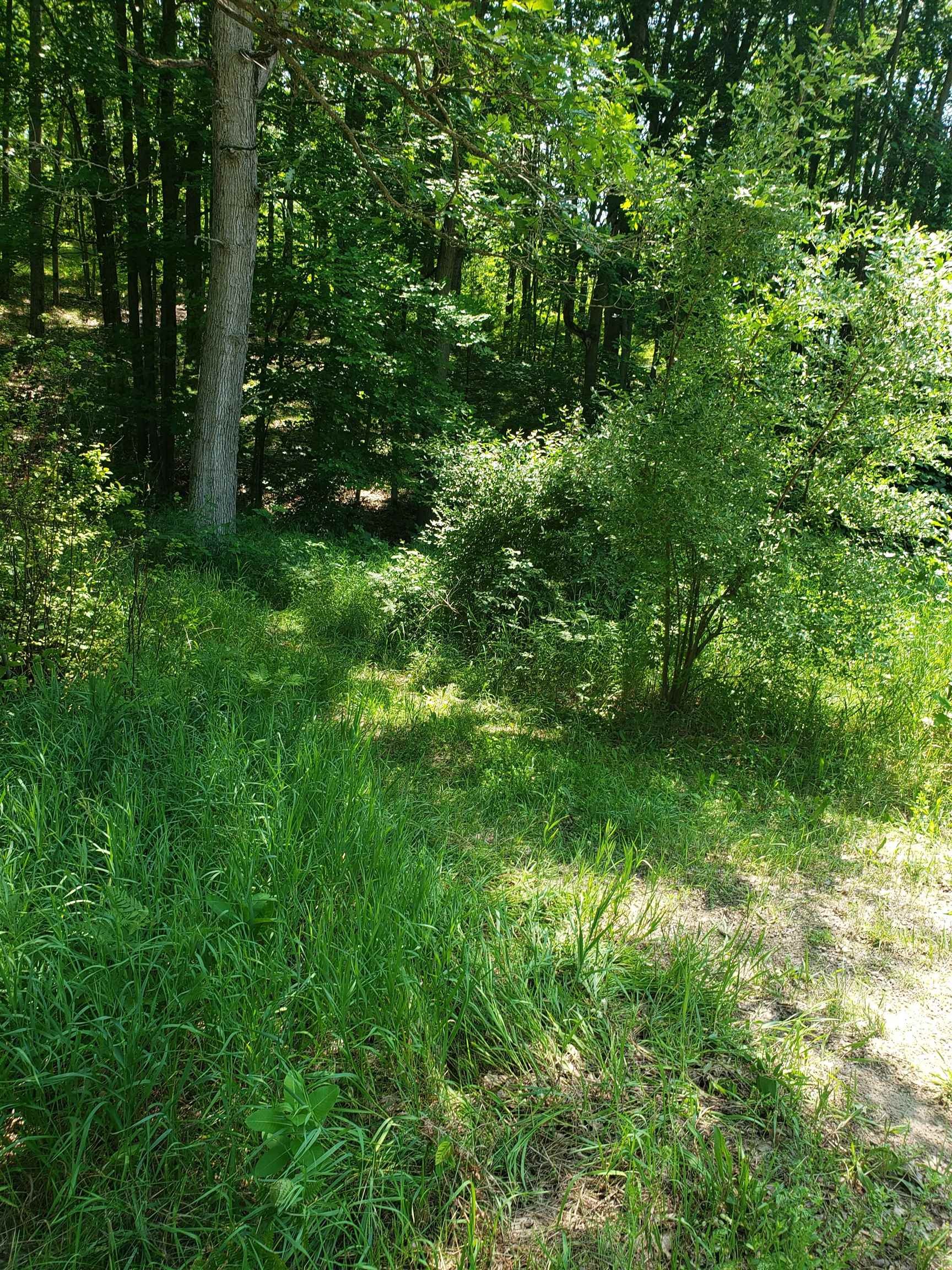 Other - TOWNLINE LAKE lot: 6 & 7, Harrison, MI