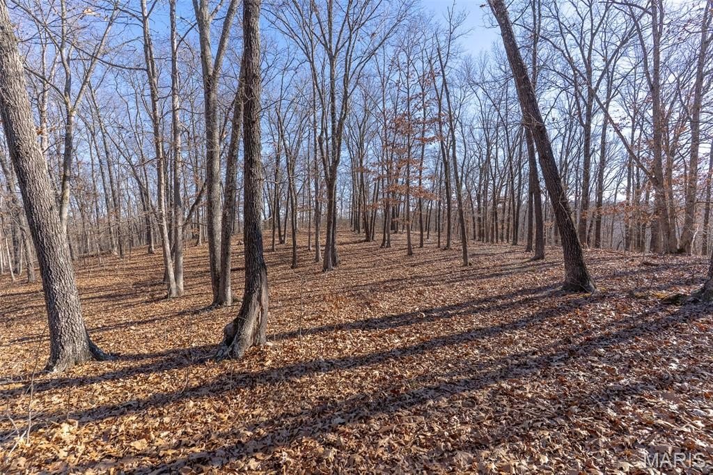 Plots and Land 3BR 2BA - 32 Hwy YY, Cook Station, MO