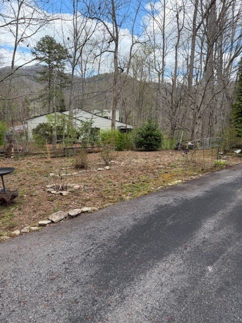 Single Family 2BR 2BA - 701 A Oak Creek, Franklin, NC
