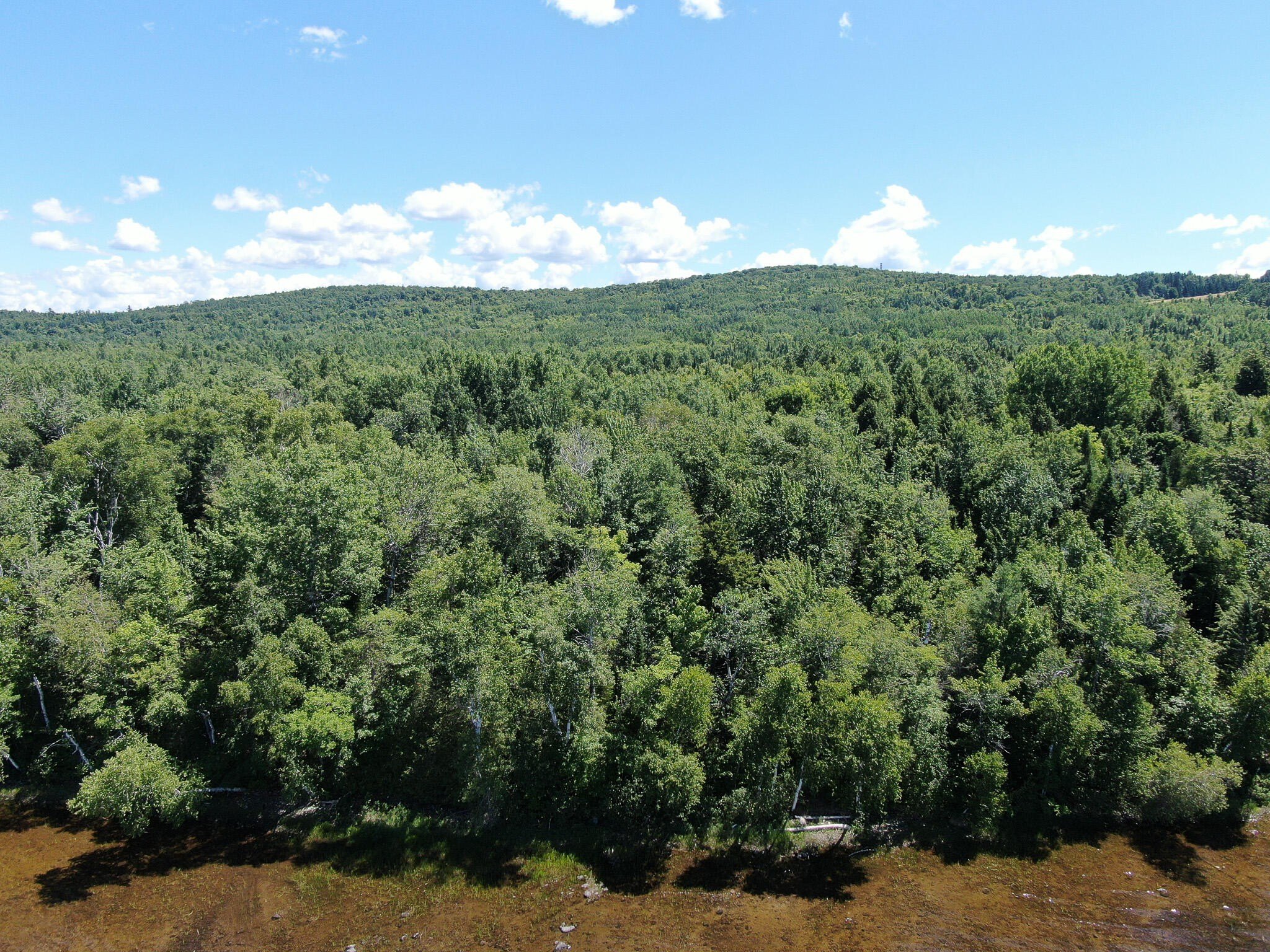 Other - Woodland Ridge Road lot: 4, Danforth, ME
