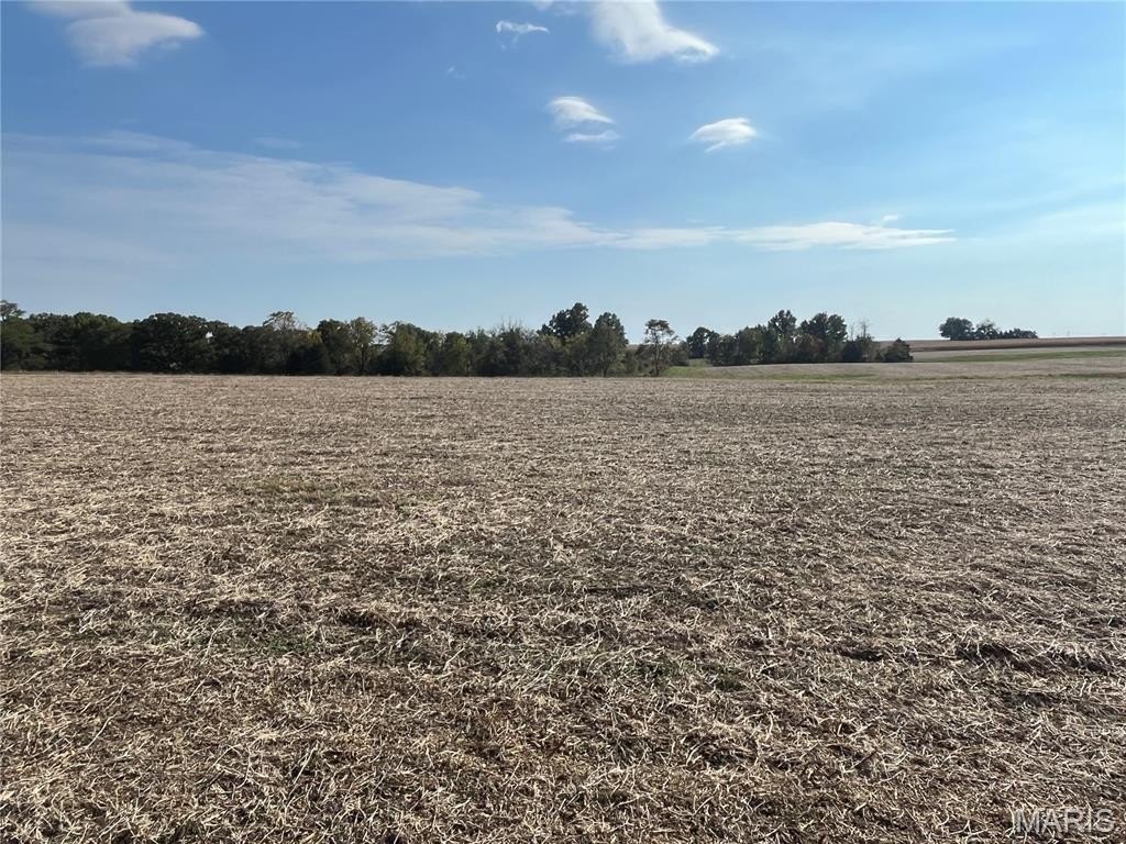 Other - 0 Lot 5 Linda Lane, Bowling Green, MO