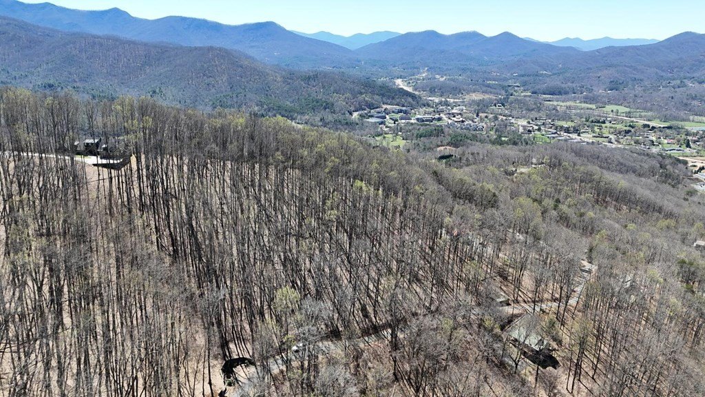 Other - Lot 100 Timberline Acres, Young Harris, GA