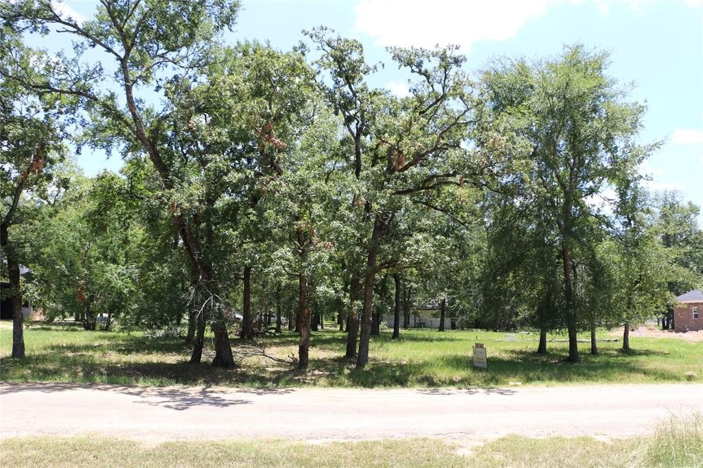 Other - 6 Deer Run, Star Harbor, TX