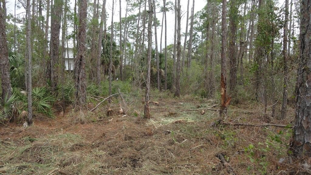 Other - 964 E Pine Ave lot: 9/45/4, St. George Island, FL
