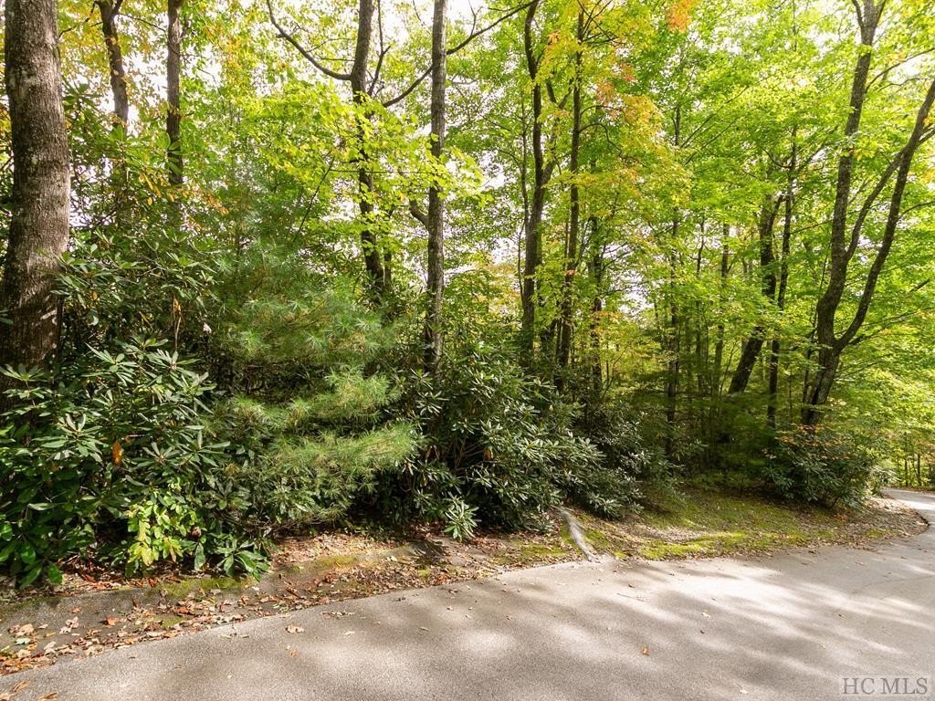 Other - Trillium Court lot: 37, Sapphire, NC
