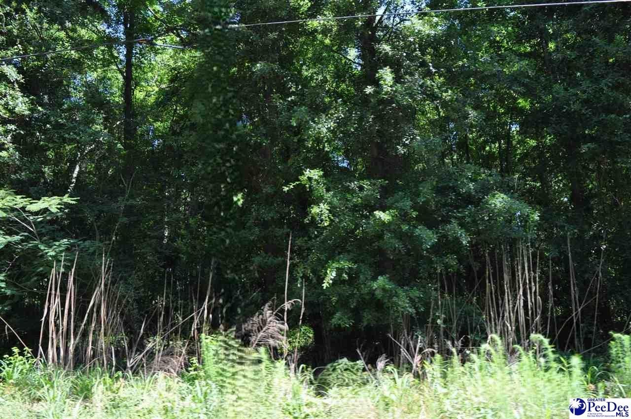 Single Family - TBD Lot 3E Branchwood Rd, Clio, SC