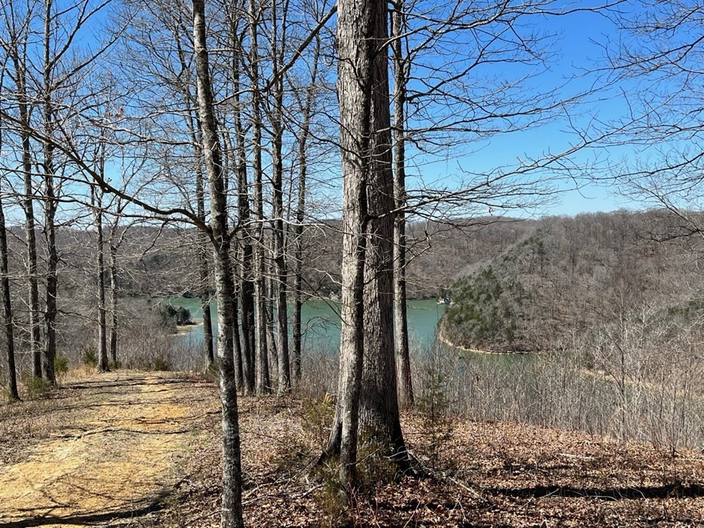 Other - #19 Obey River Shores lot: 19, Byrdstown, TN