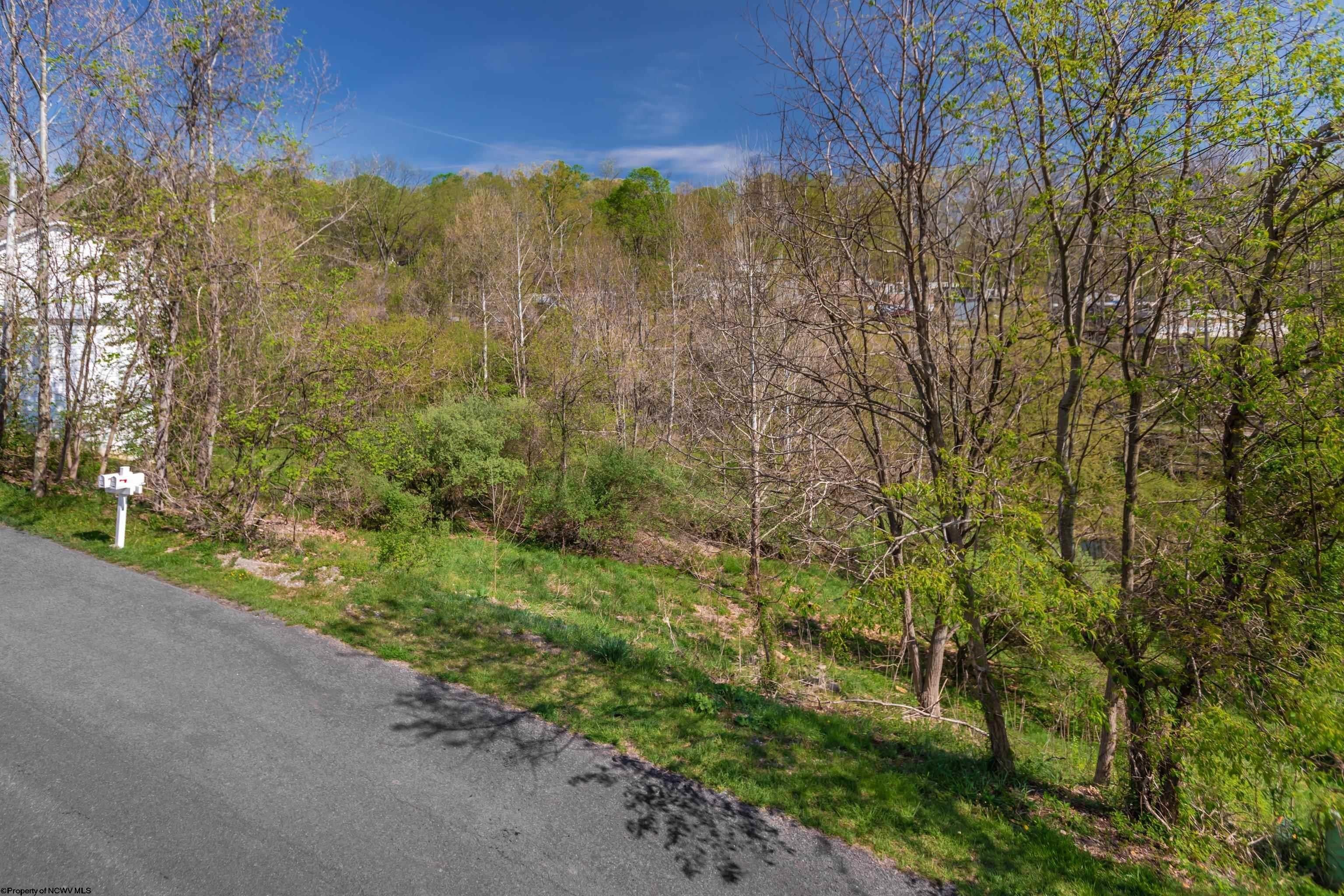 Other - 78 Antietam Drive lot: (Lot 117), Morgantown, WV