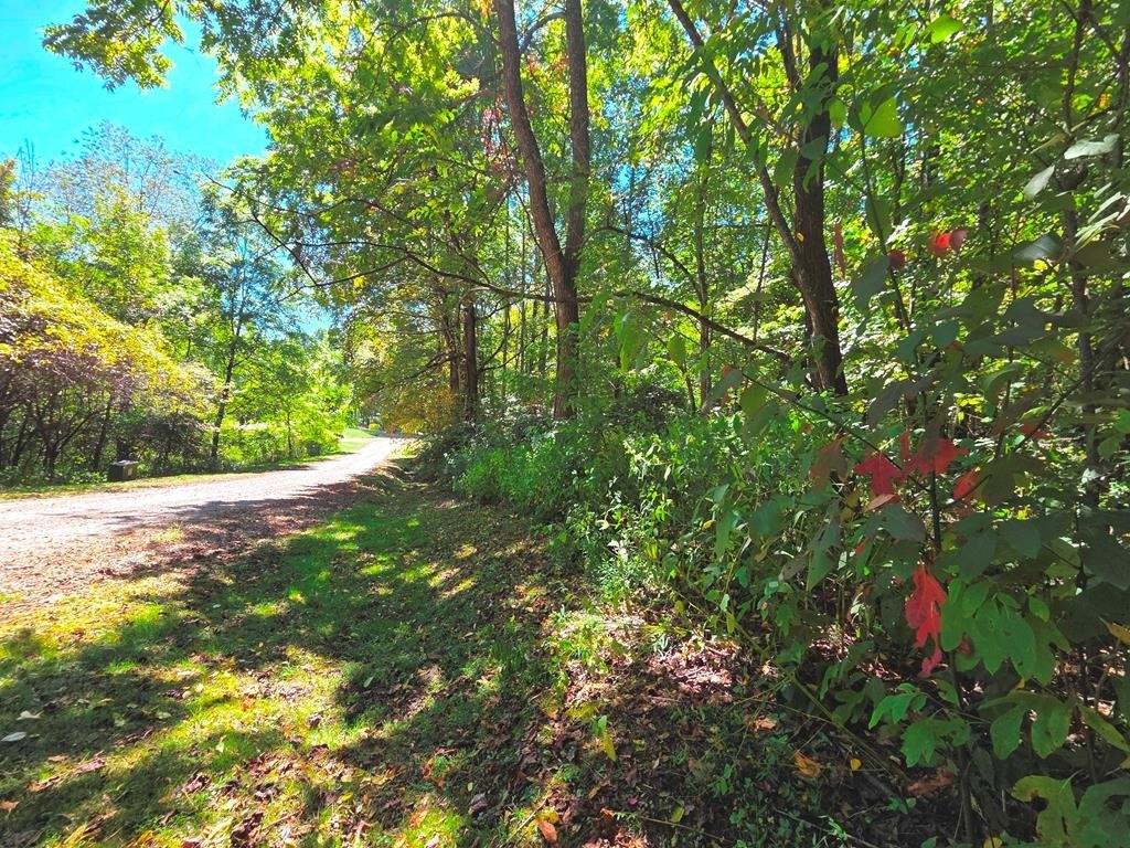 Other - 123 Live Oak Lp lot: 29, Waynesville, NC