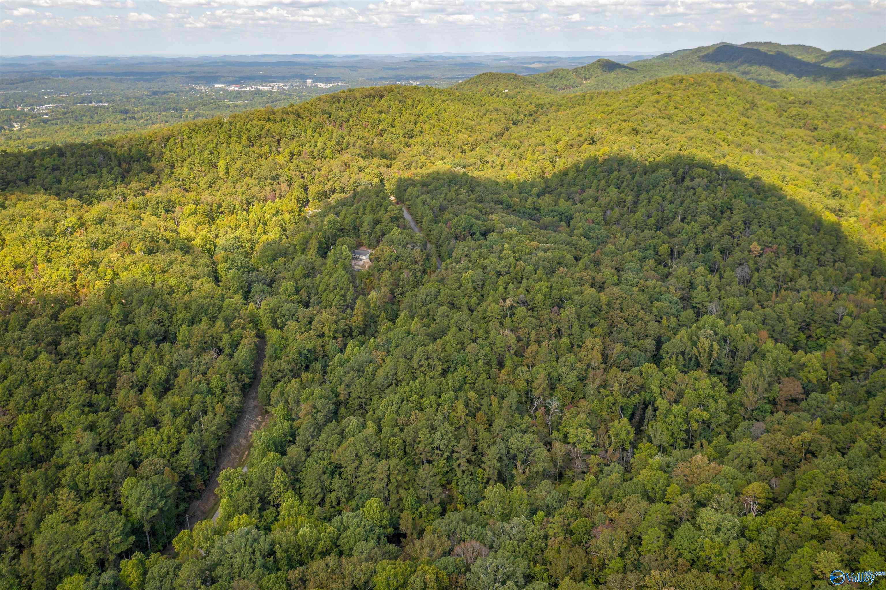 #2 32 Acres Highland Woods