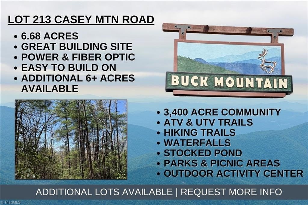 Single Family - Casey Mountain Road lot: 213, Purlear, NC