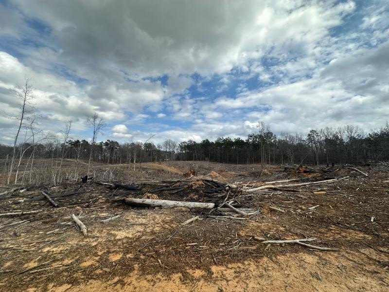 Single Family - 88 County Road 5345, Baldwyn, MS