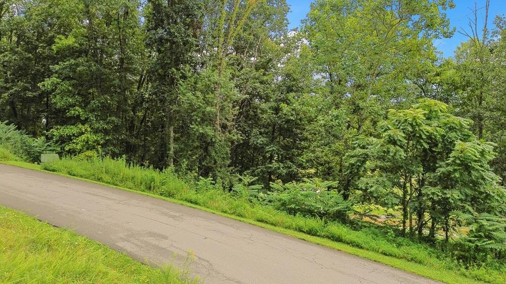 Other - Washington Way Unit # Lot 202, Bristol, VA
