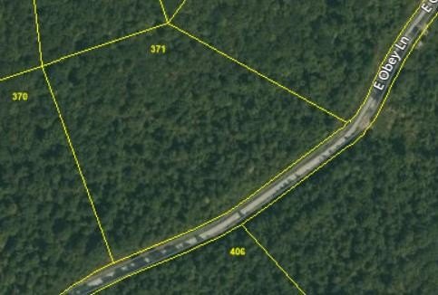Other - E Obey Lane lot: 371, Wilder, TN