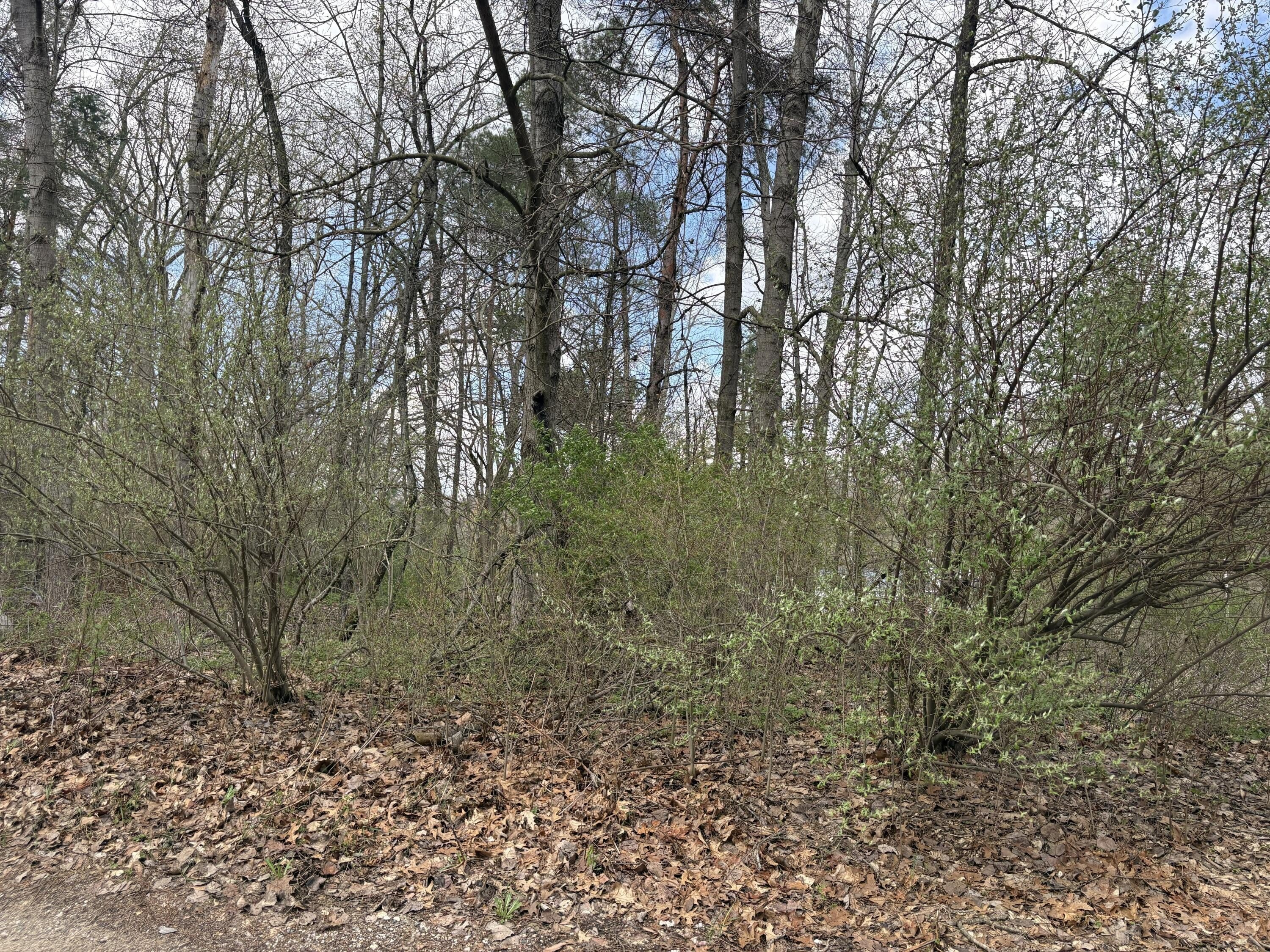 Other - 8113 Poplar Drive, Reading, MI