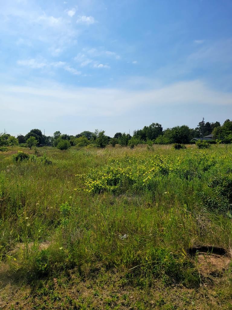 Other - Tbd X12 Colorado Pl, Sturgeon Bay, WI