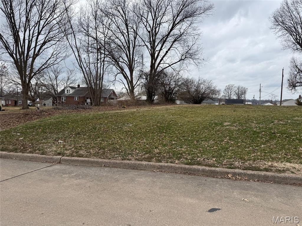 Other - 215 Louis Street, Cape Girardeau, MO
