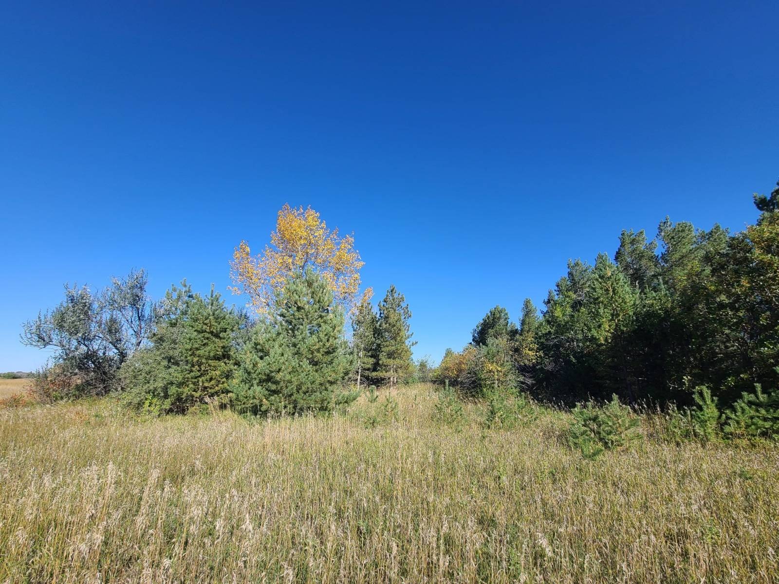Other - 158 Preserve at Bottineau, Bottineau, ND