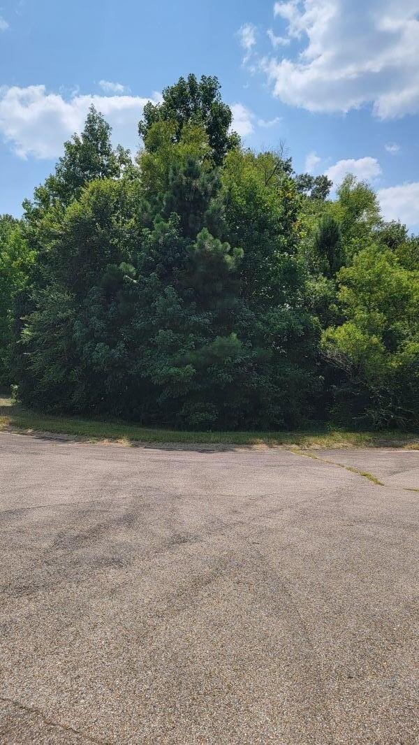 Single Family - Lot 264 Highland Ridge Dr, Saltillo, MS