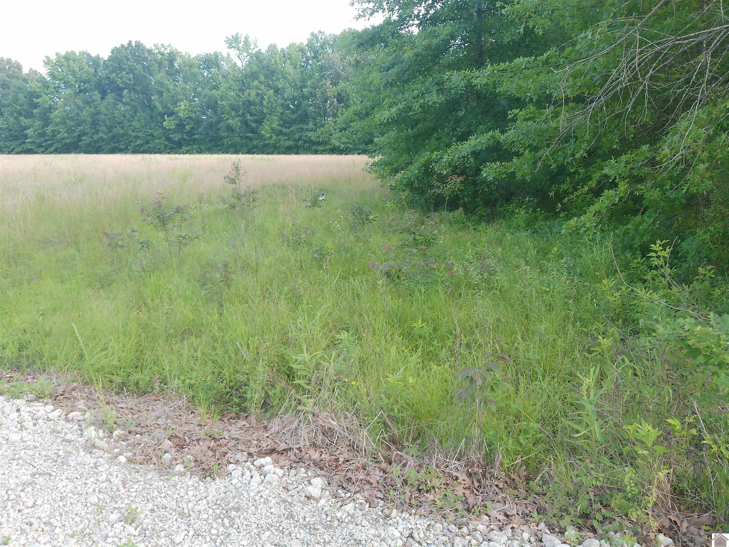 Other - 3955 - 4400 Shemwell Lane, Paducah, KY