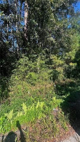Other - N 29 Street lot: 8 & 9, Lacombe, LA