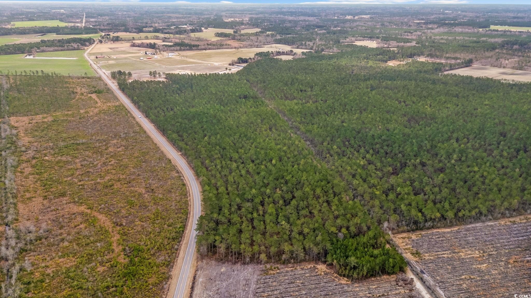 Other - Joyner Swamp Rd., Galivants Ferry, SC