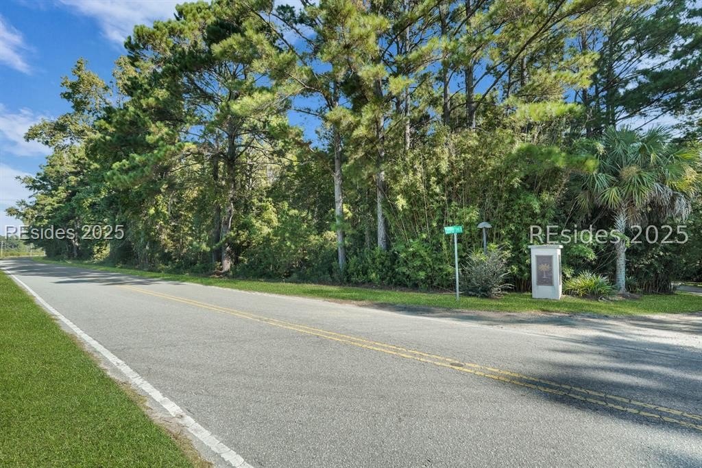 Other - Parcel AA Knowles Island RD, Ridgeland, SC