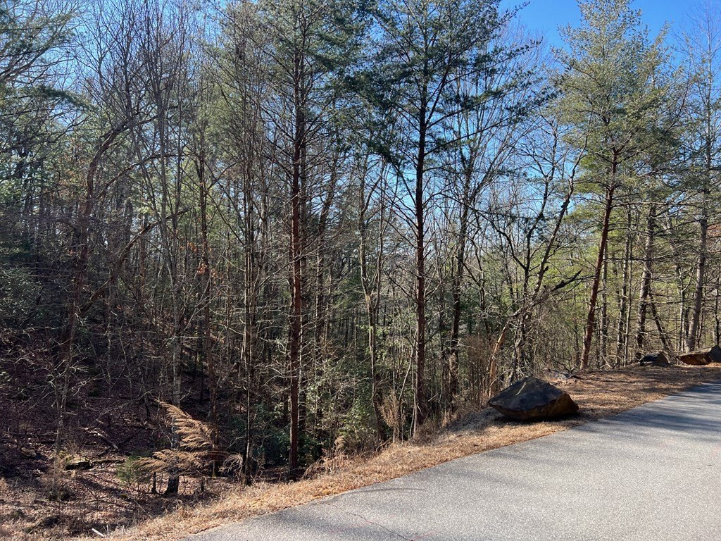 Other - Lot 19 Mission Ridge, Hayesville, NC