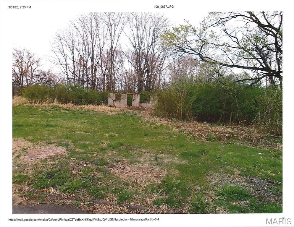 Single Family 2BR 1BA - 805 Piggott, East St Louis, IL