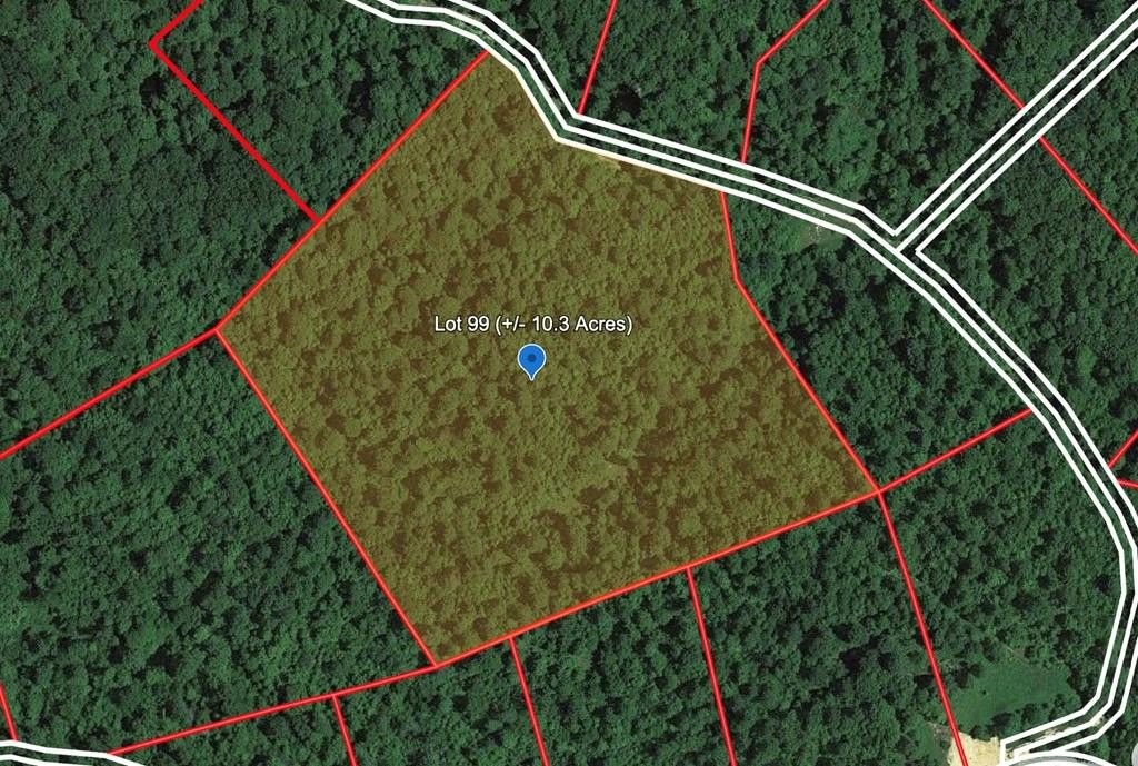 Other - 139 EAGLE'S NEST RIDGE, BRAGG, WV