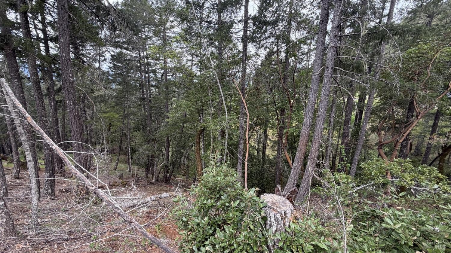 Other - 25648 Madrone Drive, Willits, CA